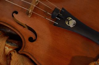 2015 European Baroque Academy : we're still looking for double basses !